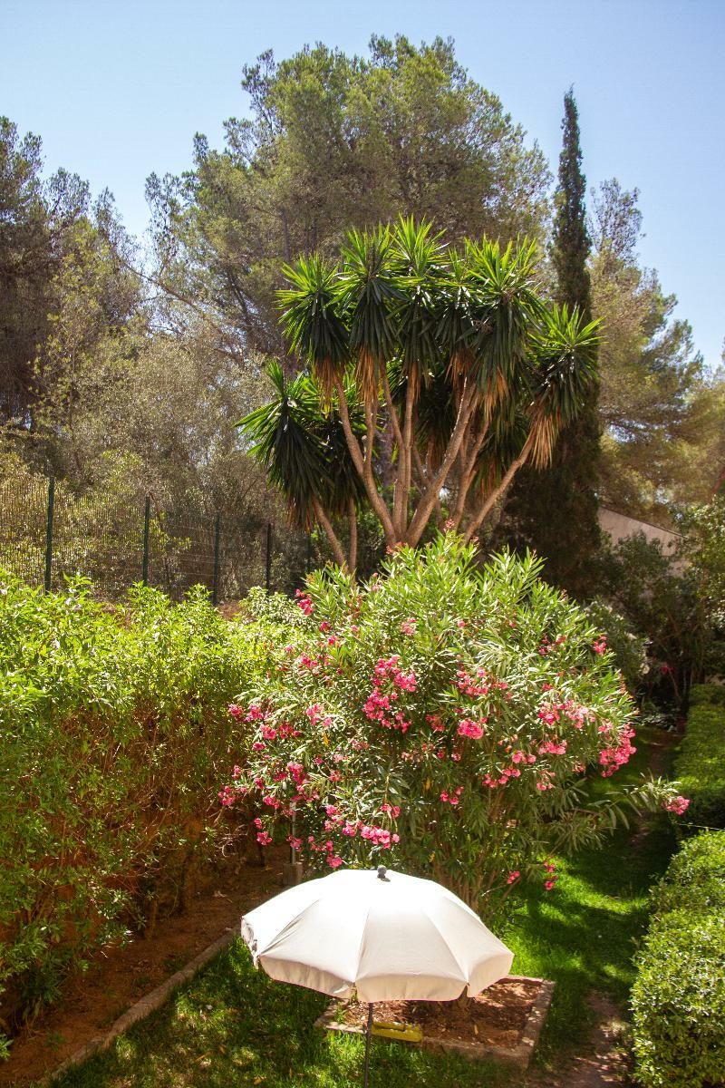 Hotel Selva Arenal S'Arenal Dış mekan fotoğraf